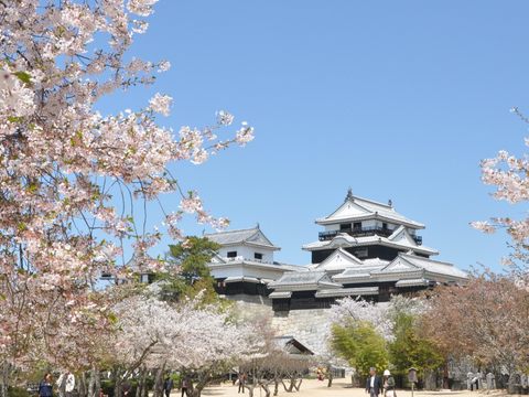櫻花盛開的松山城(圖片來源：臺北市政府觀光傳播局).JPG