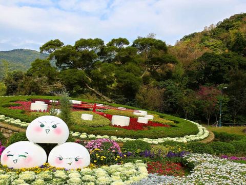 陽明山公園、花鐘(圖片來源：臺北市政府觀光傳播局)