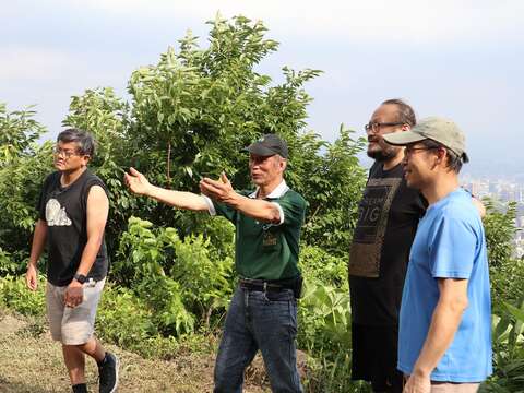 二崎生態農場(圖片來源：臺北市政府客家事務委員會)