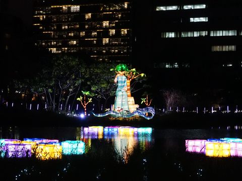島上的女人樹 湖面的星星(圖片來源：臺北市政府觀光傳播局)