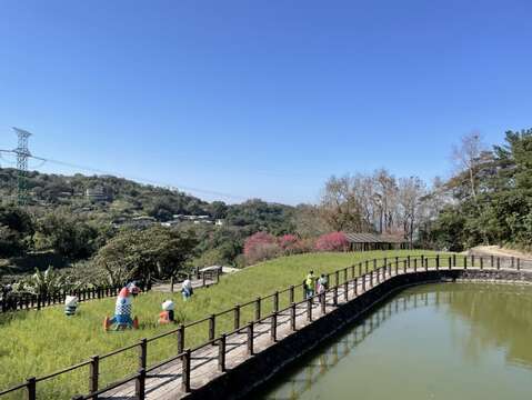 樟樹步道美景(圖片來源：臺北大眾捷運股份有限公司)