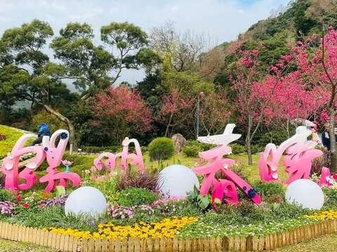 陽明山花季「陽明春曉」邀請民眾228連假來賞花(圖片來源：臺北市政府觀光傳播局)