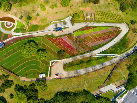 三層崎花海空拍(圖片來源：臺北市政府工務局公園路燈工程管理處)