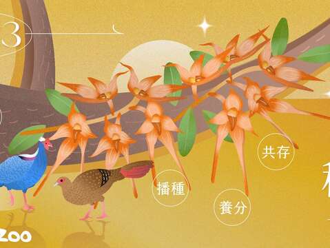 種子魔法學院 等你入學(圖片來源：臺北市立動物園)