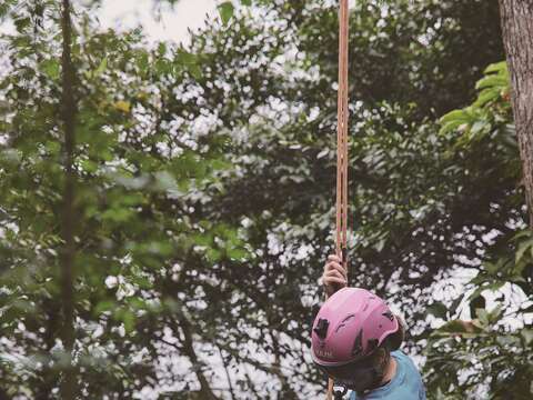 善用繩結、扣環並配戴安全帽，在攀樹師陪同下，任何人都可以安全地進行攀樹活動。（攝影／黃政達） (2)