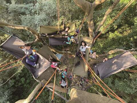 台北市不乏許多攀樹活動，可讓居住在城市裡的孩子親近自然。（圖／許荏涵）
