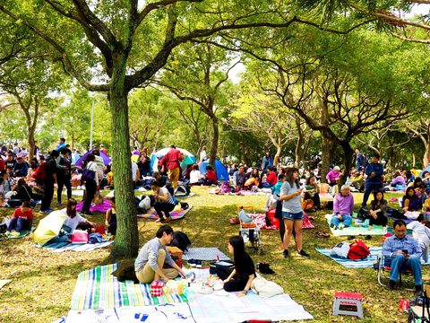 邀請大家一同來大安森林公園野餐(圖片來源:臺北市政府觀光傳播局)