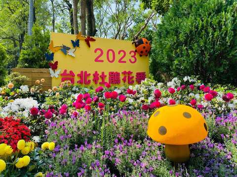 台北杜鵑花團錦簇迎賓(圖片來源：臺北市政府工務局公園路燈工程管理處)