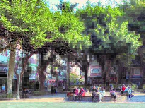 台北市内にはたくさんの公園があり、市民があそこにまったりと時間を送ります。