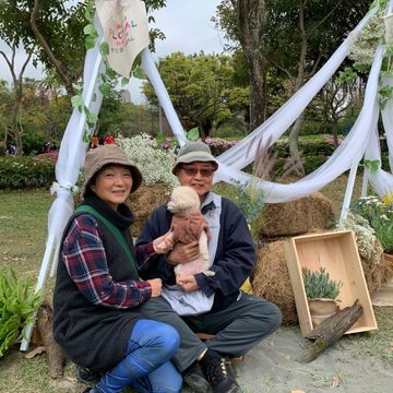 民眾開心拍照打卡。(圖片來源：臺北市政府觀光傳播局)
