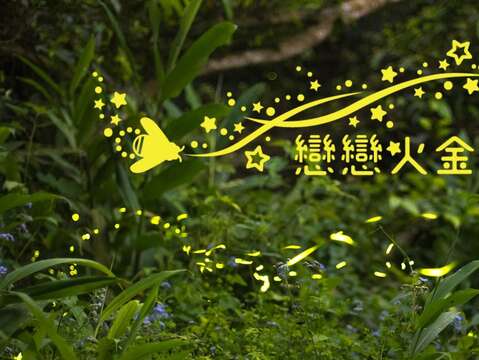 動物園戀戀火金姑體驗營即將於4月22日開跑(圖片來源：臺北市政府工務局公園路燈工程管理處)