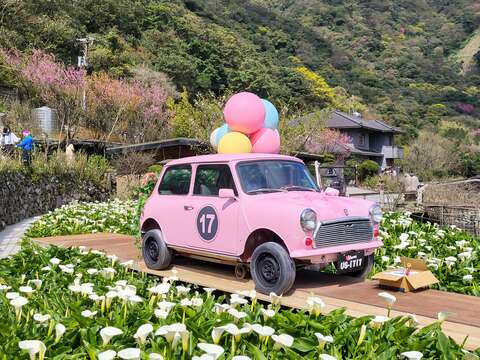 名陽匍(圖片來源：臺北市政府產業發展局)