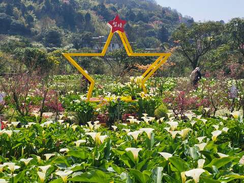 苗榜花園(圖片來源：臺北市政府產業發展局)