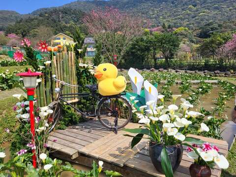 迎春圃花園(圖片來源：臺北市政府產業發展局)