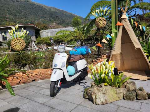 發現生活園藝(圖片來源：臺北市政府產業發展局)