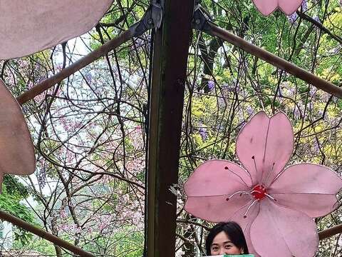 「湖山光影節」擬真櫻花燈牆(圖片來源：臺北市政府工務局大地工程處)