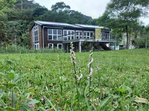 綬草在山水綠公園「創能、儲能示範場域」前的綠茵現蹤(圖片來源：臺北市政府環境保護局)