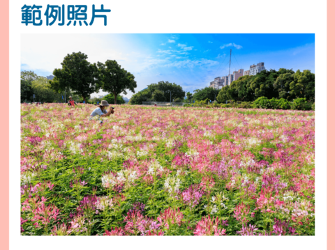 古亭河濱醉蝶花凱 水利處辦贈獎活動(圖片提供：臺北市政府工務局水利工程處)