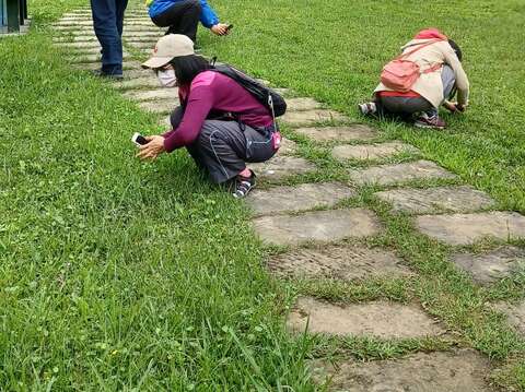 山水綠生態公園環教活動學員觀察綬草(圖片來源：臺北市政府環境保護局)