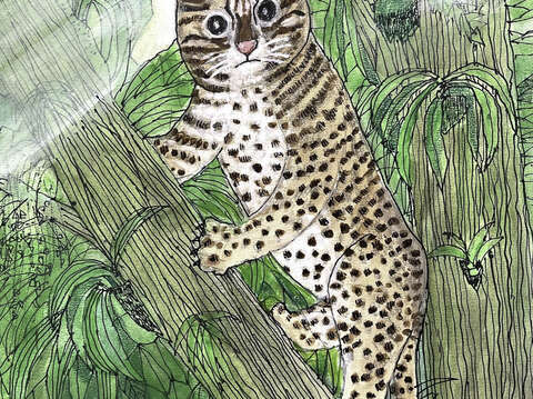 Japanese Architect Holds Exhibition, Supports Taipei Zoo’s Adoption Program