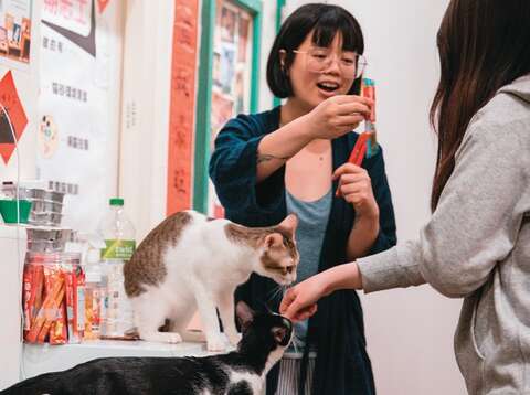 貓婆婆示範在掌心、指腹抹點心餵食貓咪,讓貓咪一邊舔手也熟悉你的味道。(攝影/鄒保祥)