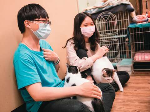認養毛孩除了需要一定的經濟條件,心態上的調適和準備也是非常重要的一環。(攝影/鄒保祥)