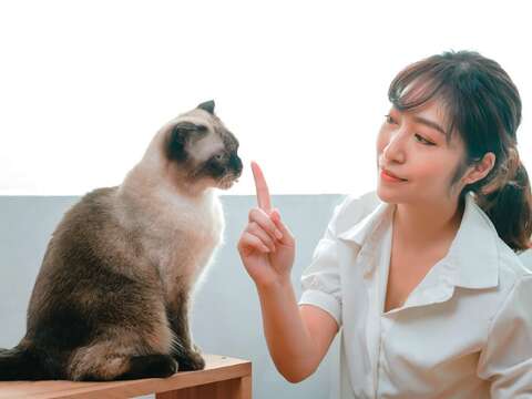 透過毛孩的眼光看世界,你可能會有大發現。(圖/單熙汝)