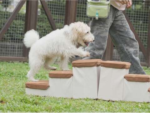寵物行為訓練師帶領愛犬示範寵物遊具玩法。(圖片來源：臺北市動物保護處)
