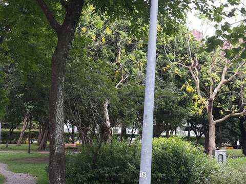 LED燈加裝遮光板(圖片來源：臺北市政府工務局公園路燈工程管理處)