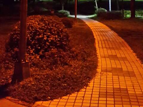 螢火蟲專用LED燈(圖片來源：臺北市政府工務局公園路燈工程管理處)