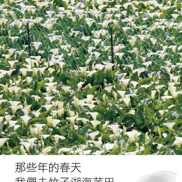 台北畫刊578期105年3月_頁面_08