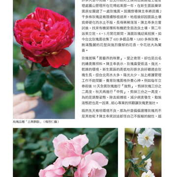 台北畫刊578期105年3月_頁面_75