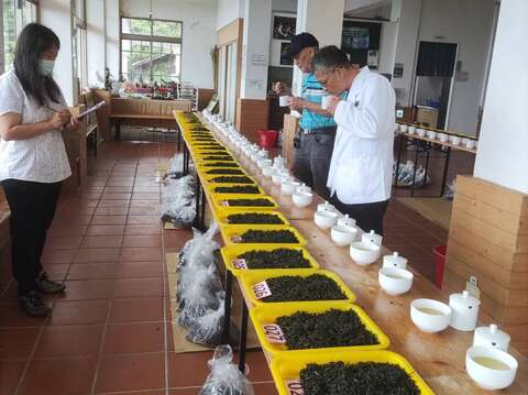 評審評比茶葉(圖片來源：臺北市政府產業發展局)