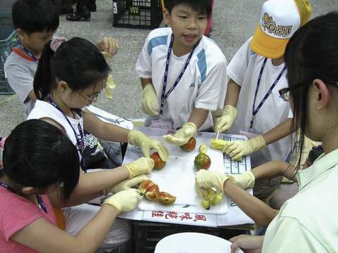 小朋友動動手幫動物準備清涼的水果冰(圖片來源：臺北市立動物園)