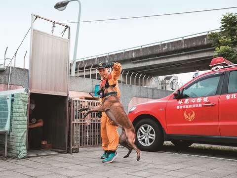 我的同事是隻搜救犬 (3)