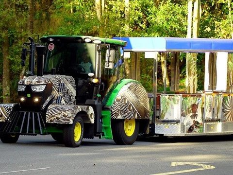動貓樂玩套票-遊客列車(圖片來源：臺北市政府觀光傳播局)