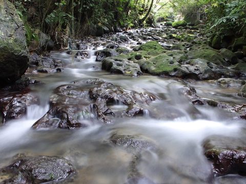 遊覽三貓地區特色景點、使用「『蹦世界』智慧導覽APP」完成電子集章，即可參加抽獎(圖片來源：臺北市政府觀光傳播局)