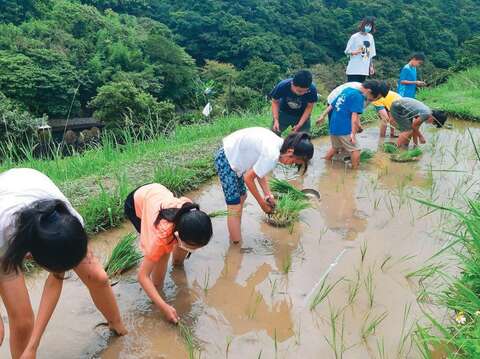 下田插秧感受農事辛勞，了解惜食的重要。（圖／竹子湖藍鵲農園）