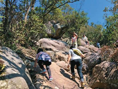 金面山親山步道攀岩路段具有挑戰性，可燃起孩子的意志力。（攝影／余業文）
