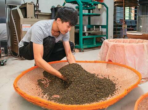 製茶師手工揀選和揉茶，是傳統製茶最大的特色。（攝影／翁睿坤）