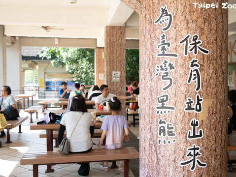 為臺灣黑熊 保育站出來(圖片來源：臺北市立動物園)