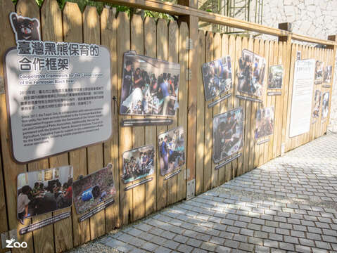 大家可以了解臺灣黑熊保育的點滴(圖片來源：臺北市立動物園)