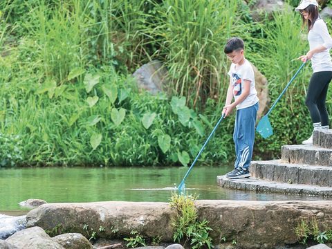 大溝溪生態治水園區生態豐富，也有清涼小溪可以戲水。(圖片來源：臺北市政府觀光傳播局)