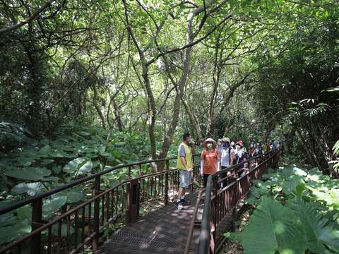 小觀音山木棧道工程-山林棧道中結合生態及人文的導覽活動(圖片來源：臺北市政府工務局公園路燈工程管理處)