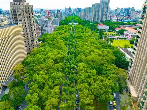 生態綠廊提供動物棲息移動-仁愛路(圖片來源：臺北市政府工務局公園路燈工程管理處)