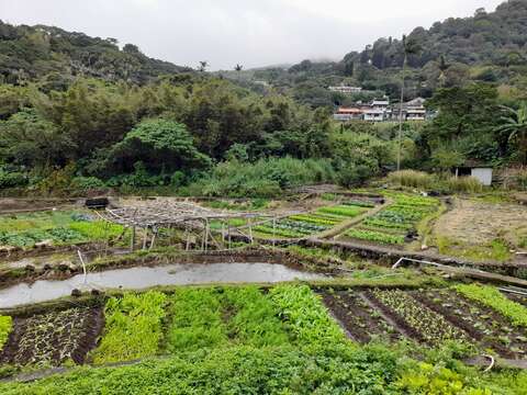 沿湖底路繞過湖底社區，沿途可見一片廣闊的菜園(圖片來源：臺北市政府工務局大地工程處)