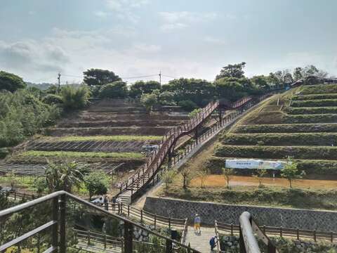 以稻穀隨風搖曳為靈感設計出風格獨特的「稻浪棧橋」(圖片來源：臺北市政府工務局大地工程處)