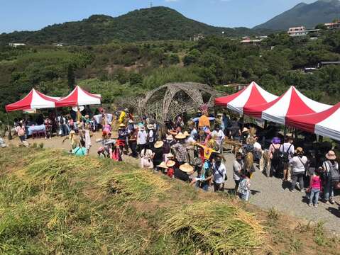 往年收割活動民眾參與盛況(圖片來源：臺北市政府工務局大地工程處)