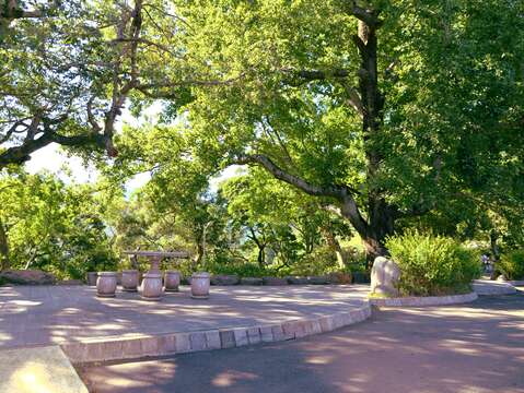 楓香姊妹樹平台(圖片來源：臺北市政府工務局大地工程處)