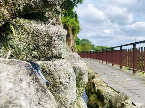 水圳步道隨處可見的蜻蜓(圖片來源：臺北市政府工務局大地工程處)